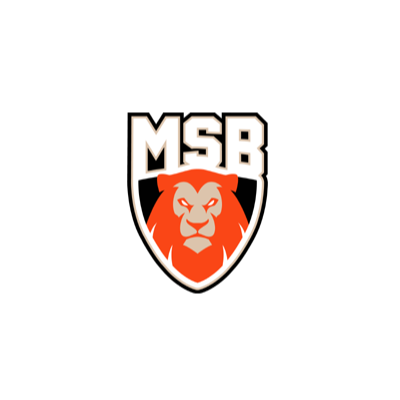 Le Mans Sarthe Basket